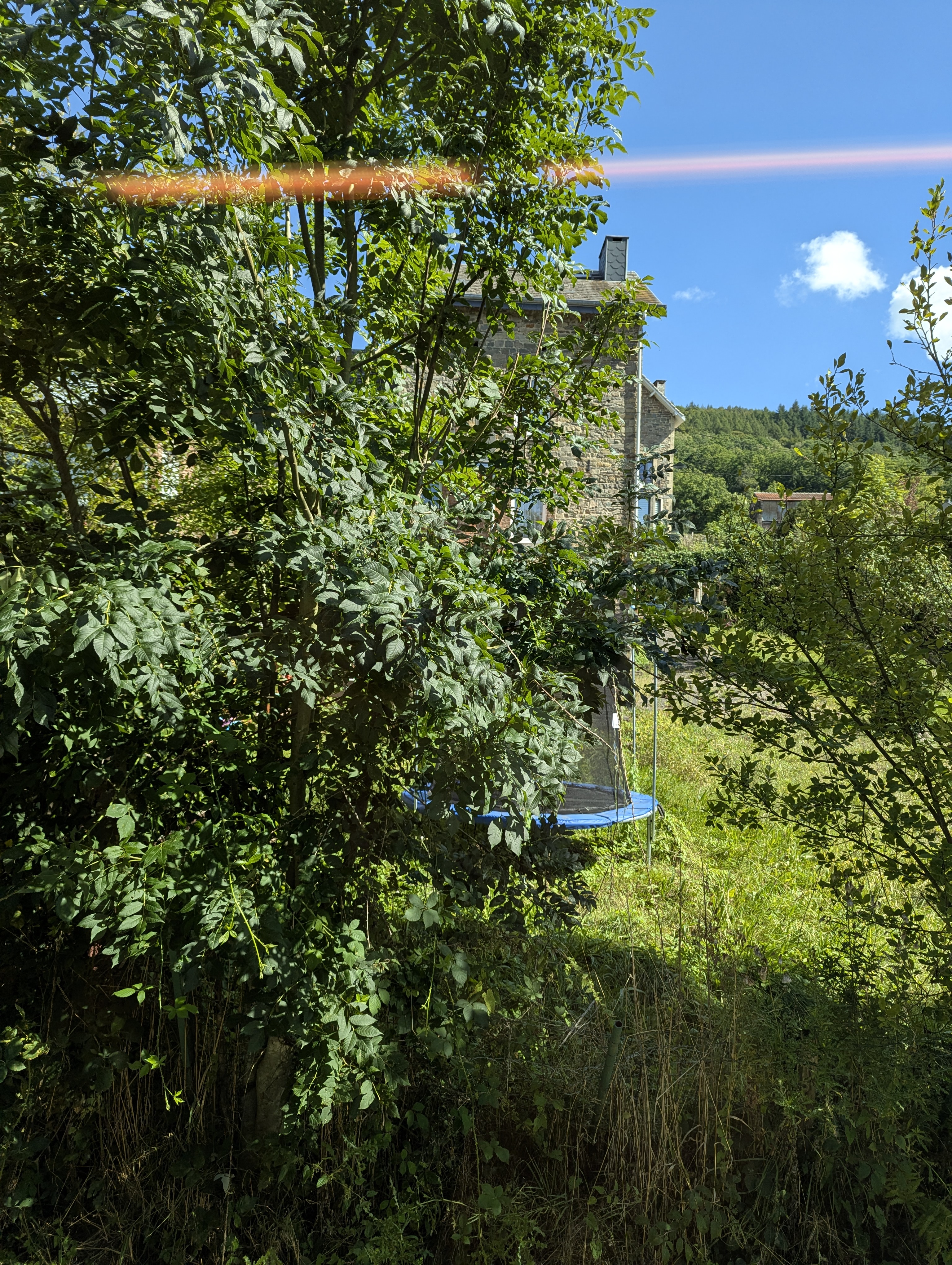 train, Koln, Germany, Belgium